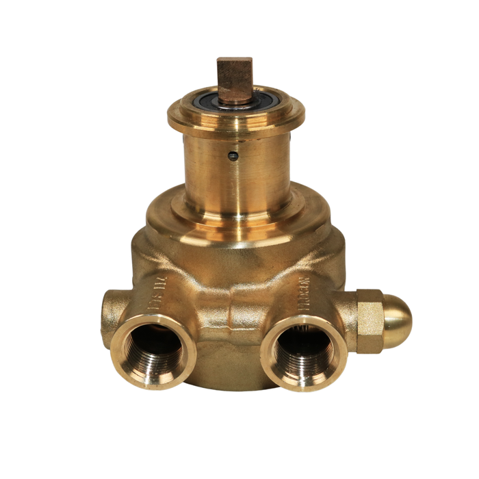 PROCON 144B240F11BC - 1/2" NPT Brass Rotary Vane Pump Series 4