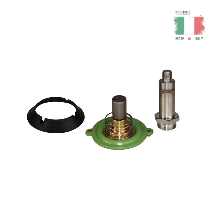 CEME Maintenance Rebuild Kit for Solenoid Valve Series 8416 and 8426, 1", FPM